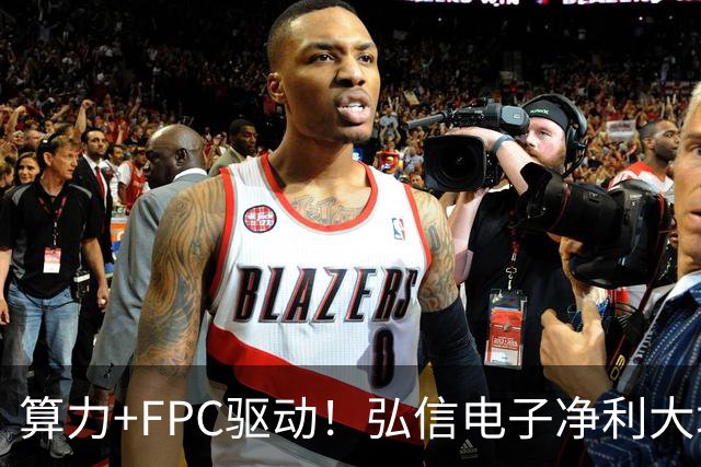 算力+FPC驱动！弘信电子净利大增139%，股价较年内高点回撤超40%