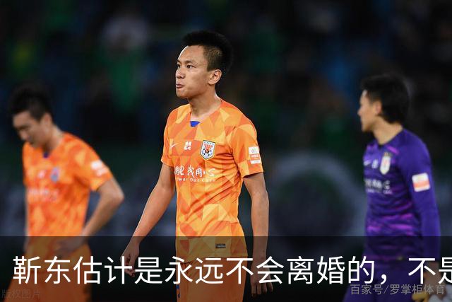 靳东估计是永远不会离婚的，不是因为他和老婆财产纠葛太多